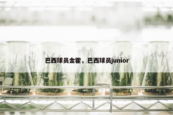 巴西球员金霍，巴西球员junior