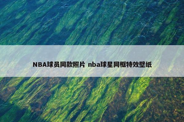 NBA球员同款照片 nba球星同框特效壁纸