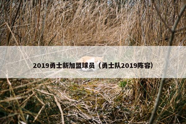 2019勇士新加盟球员（勇士队2019阵容）