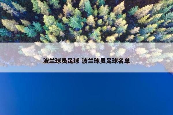 波兰球员足球 波兰球员足球名单