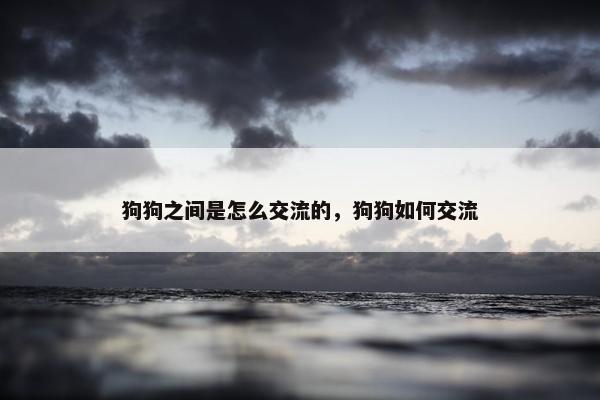 狗狗之间是怎么交流的，狗狗如何交流