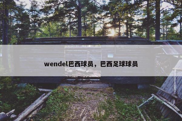 wendel巴西球员，巴西足球球员