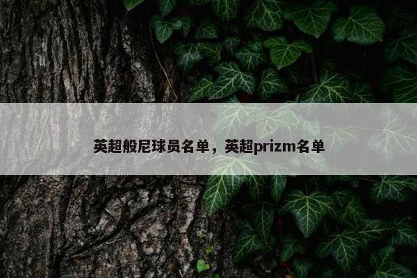 英超般尼球员名单，英超prizm名单