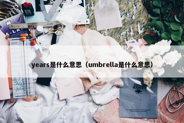 years是什么意思（umbrella是什么意思）