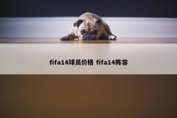 fifa14球员价格 fifa14阵容