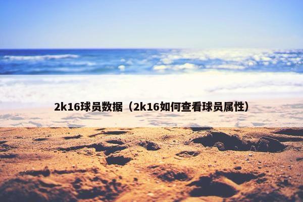 2k16球员数据（2k16如何查看球员属性）