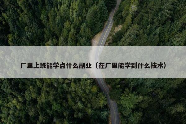 厂里上班能学点什么副业（在厂里能学到什么技术）