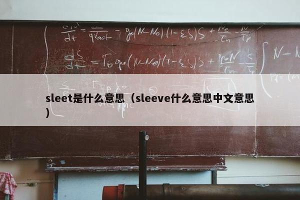 sleet是什么意思（sleeve什么意思中文意思）