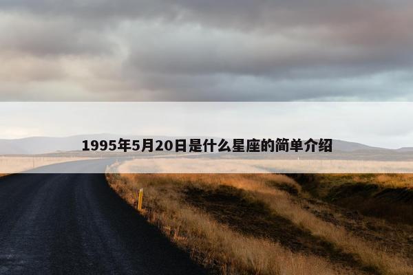 1995年5月20日是什么星座的简单介绍