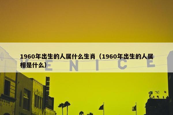 1960年出生的人属什么生肖（1960年出生的人属相是什么）