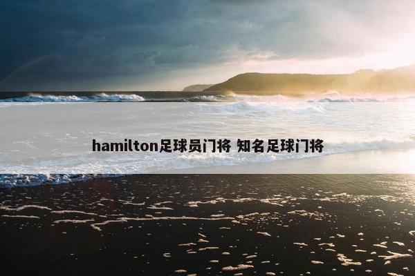 hamilton足球员门将 知名足球门将