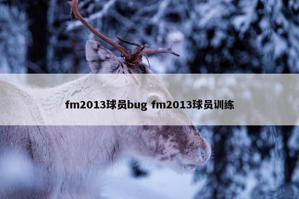 fm2013球员bug fm2013球员训练