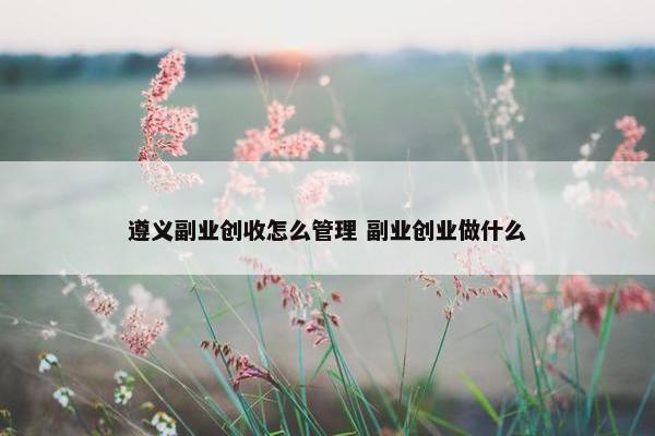 遵义副业创收怎么管理 副业创业做什么