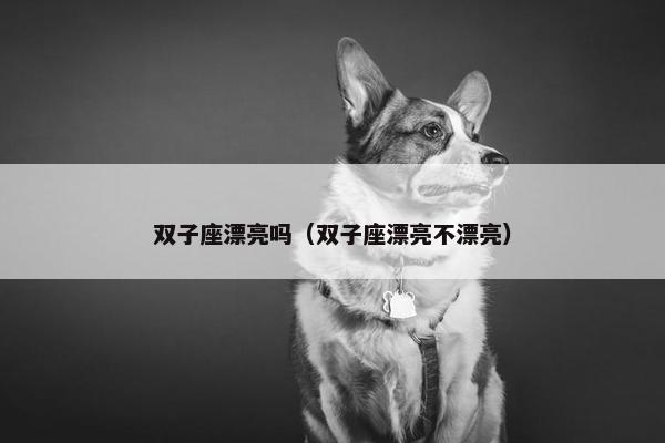 双子座漂亮吗（双子座漂亮不漂亮）