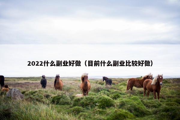 2022什么副业好做（目前什么副业比较好做）