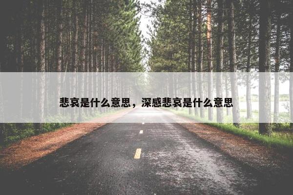 悲哀是什么意思，深感悲哀是什么意思