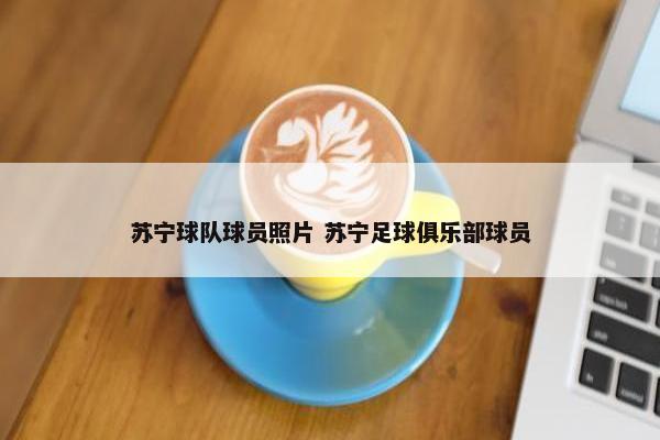 苏宁球队球员照片 苏宁足球俱乐部球员