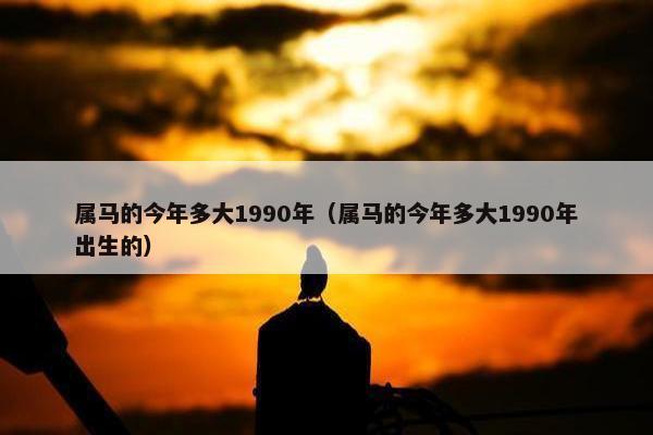 属马的今年多大1990年（属马的今年多大1990年出生的）