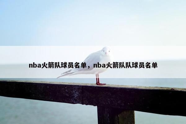 nba火箭队球员名单，nba火箭队队球员名单