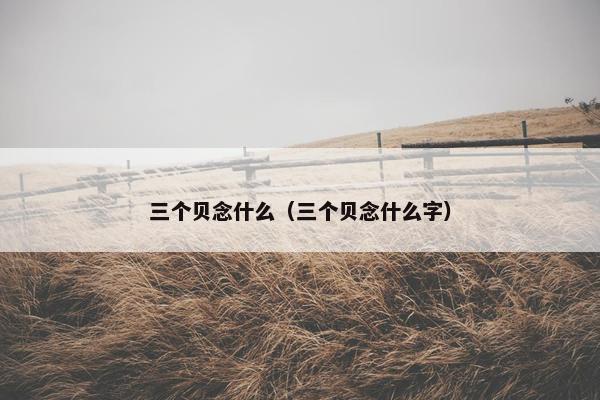 三个贝念什么（三个贝念什么字）