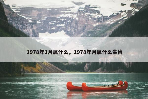 1978年1月属什么，1978年月属什么生肖