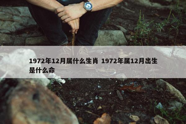 1972年12月属什么生肖 1972年属12月出生是什么命