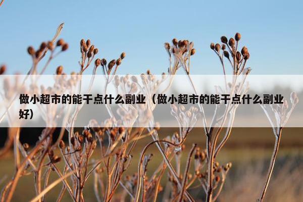 做小超市的能干点什么副业（做小超市的能干点什么副业好）