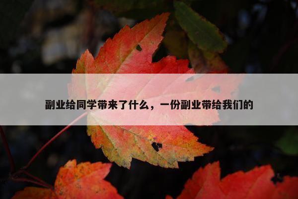 副业给同学带来了什么，一份副业带给我们的