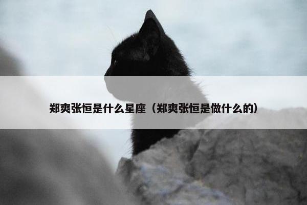 郑爽张恒是什么星座（郑爽张恒是做什么的）