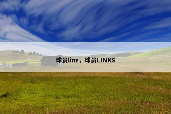 球员linz，球员LINKS