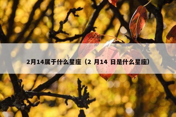 2月14属于什么星座（2 月14 日是什么星座）