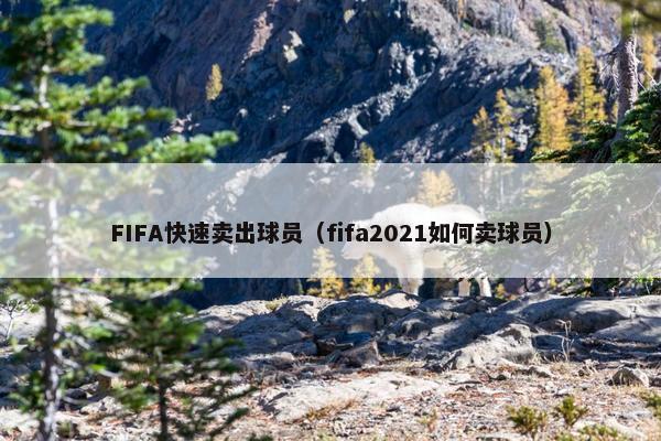 FIFA快速卖出球员（fifa2021如何卖球员）