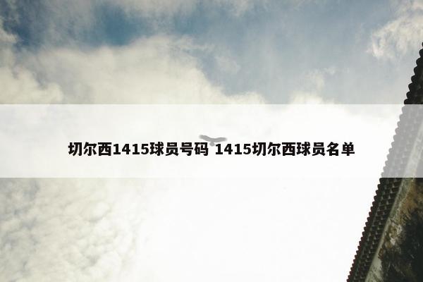 切尔西1415球员号码 1415切尔西球员名单