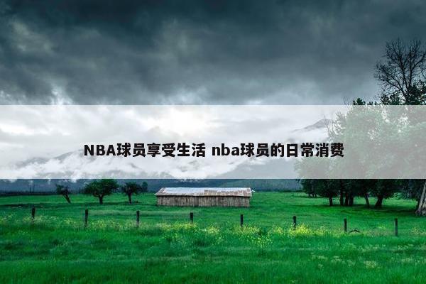 NBA球员享受生活 nba球员的日常消费