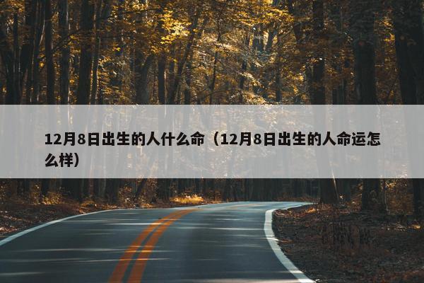 12月8日出生的人什么命（12月8日出生的人命运怎么样）