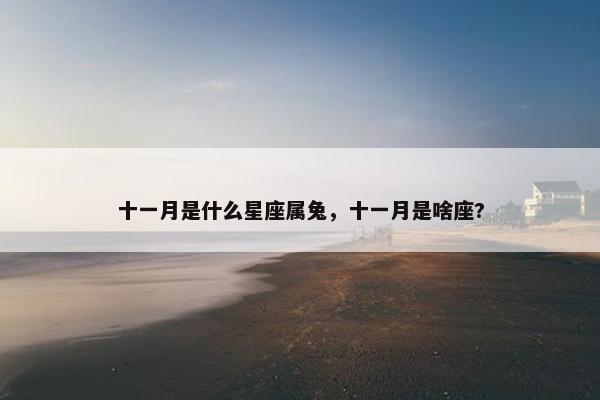 十一月是什么星座属兔，十一月是啥座?