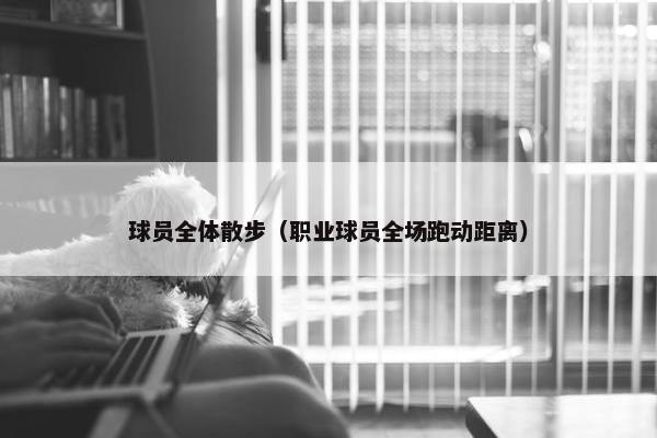 球员全体散步（职业球员全场跑动距离）