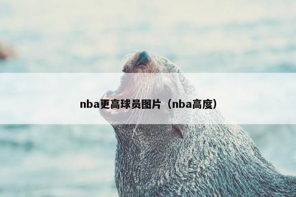 nba更高球员图片（nba高度）