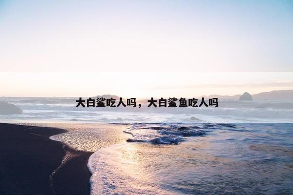 大白鲨吃人吗，大白鲨鱼吃人吗