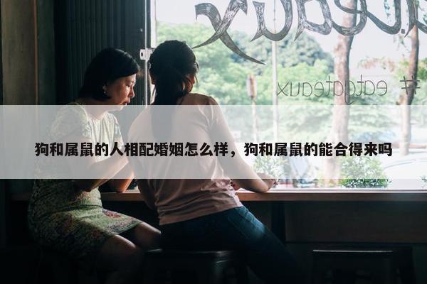 狗和属鼠的人相配婚姻怎么样，狗和属鼠的能合得来吗