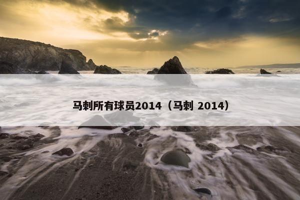 马刺所有球员2014（马刺 2014）