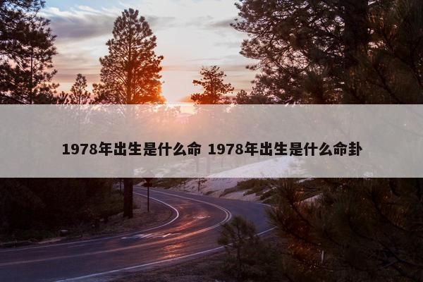 1978年出生是什么命 1978年出生是什么命卦