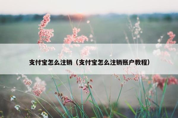 支付宝怎么注销（支付宝怎么注销账户教程）