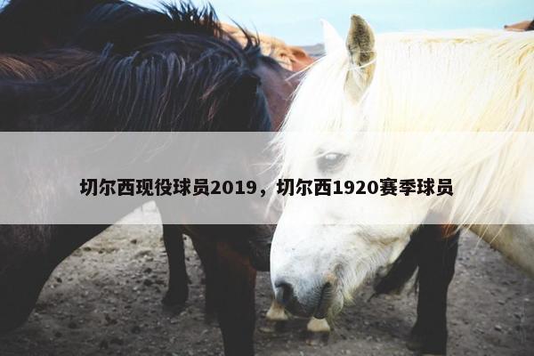 切尔西现役球员2019，切尔西1920赛季球员