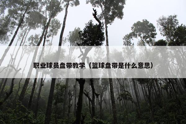 职业球员盘带教学（篮球盘带是什么意思）