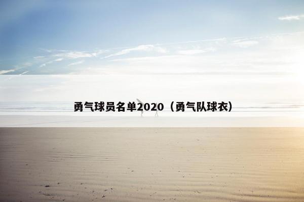 勇气球员名单2020（勇气队球衣）