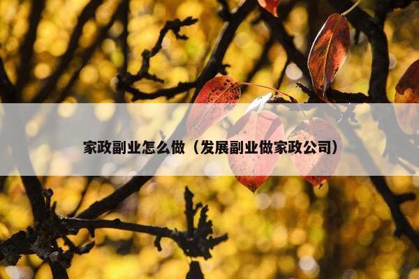 家政副业怎么做（发展副业做家政公司）