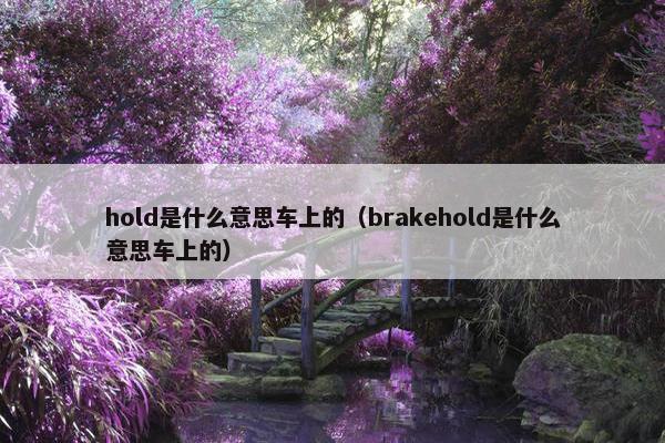 hold是什么意思车上的（brakehold是什么意思车上的）