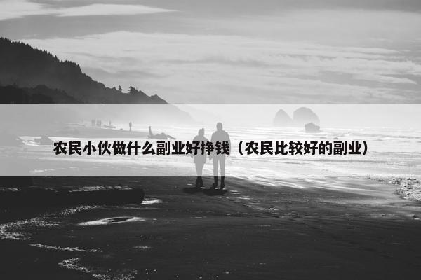 农民小伙做什么副业好挣钱（农民比较好的副业）