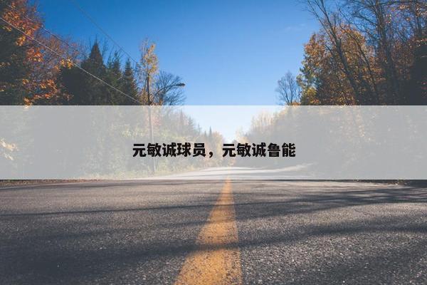 元敏诚球员，元敏诚鲁能